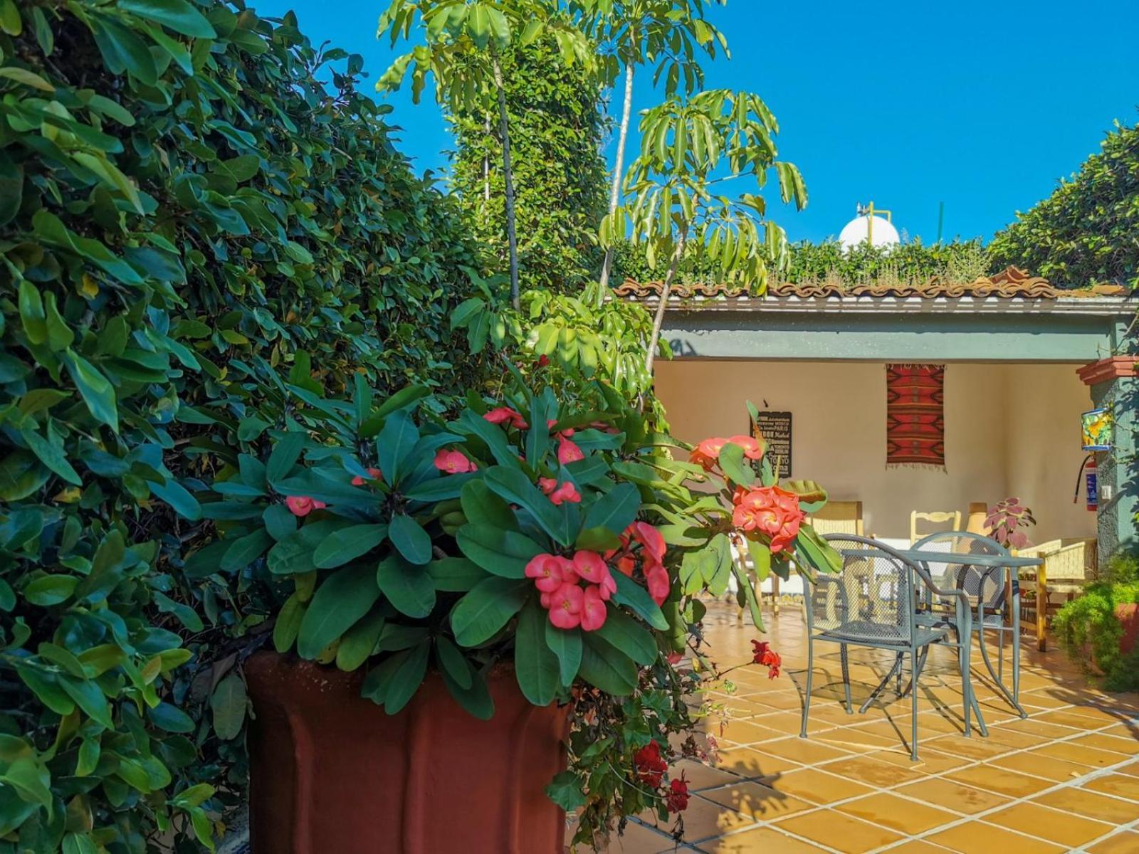 Hotel Casa Guiva Oaxaca Buitenkant foto